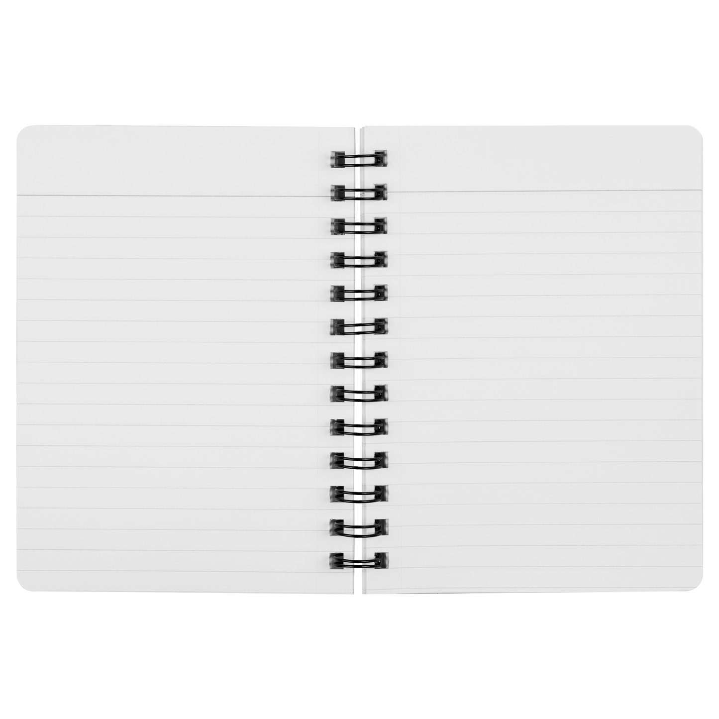 Eat_nap_Nap_Again_Spiralbound_Noteboo_SN_Open_Pages_Mockup.png