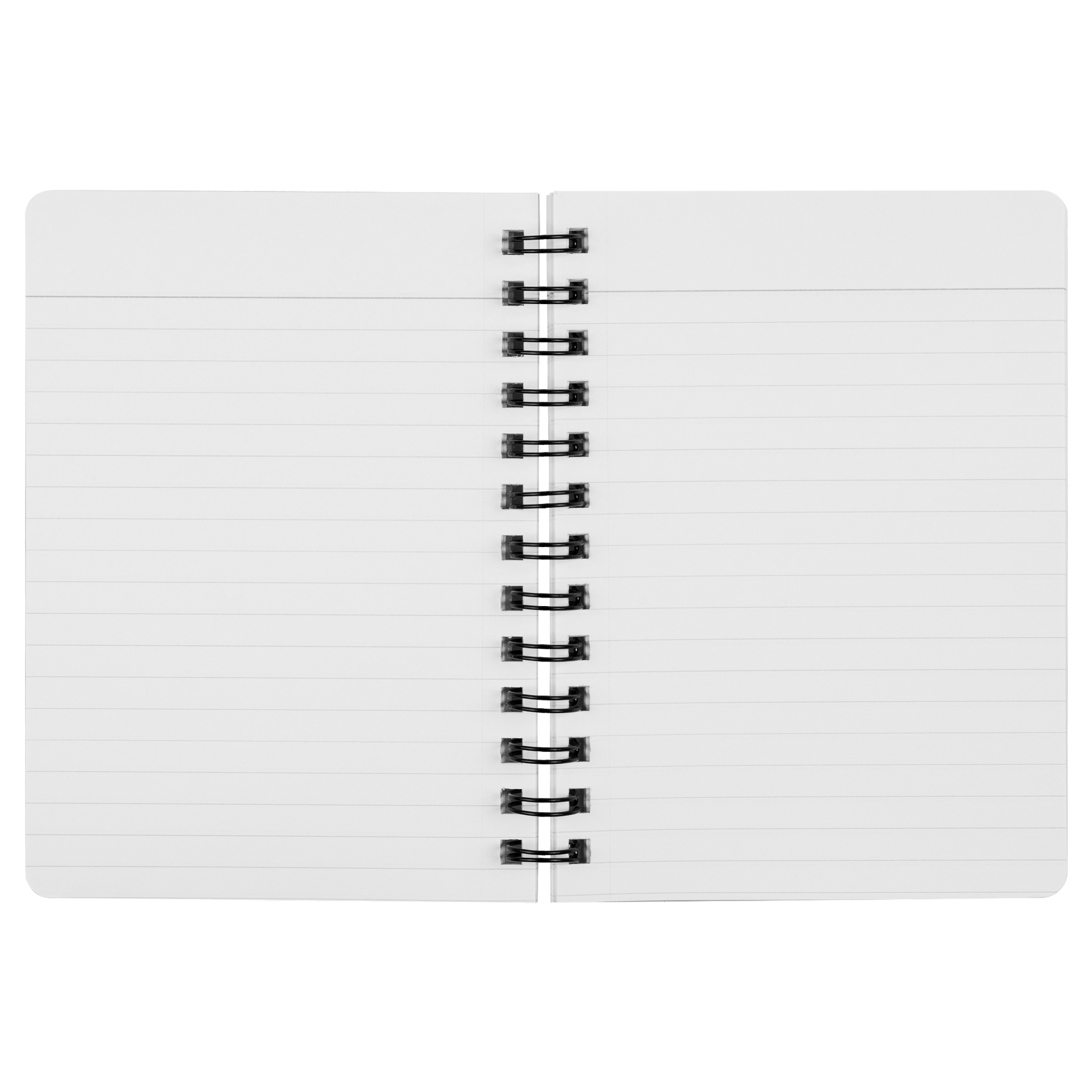 Is_Your_Cat_on_Your_Keyboard_Again_Spira_SN_Open_Pages_Mockup.png