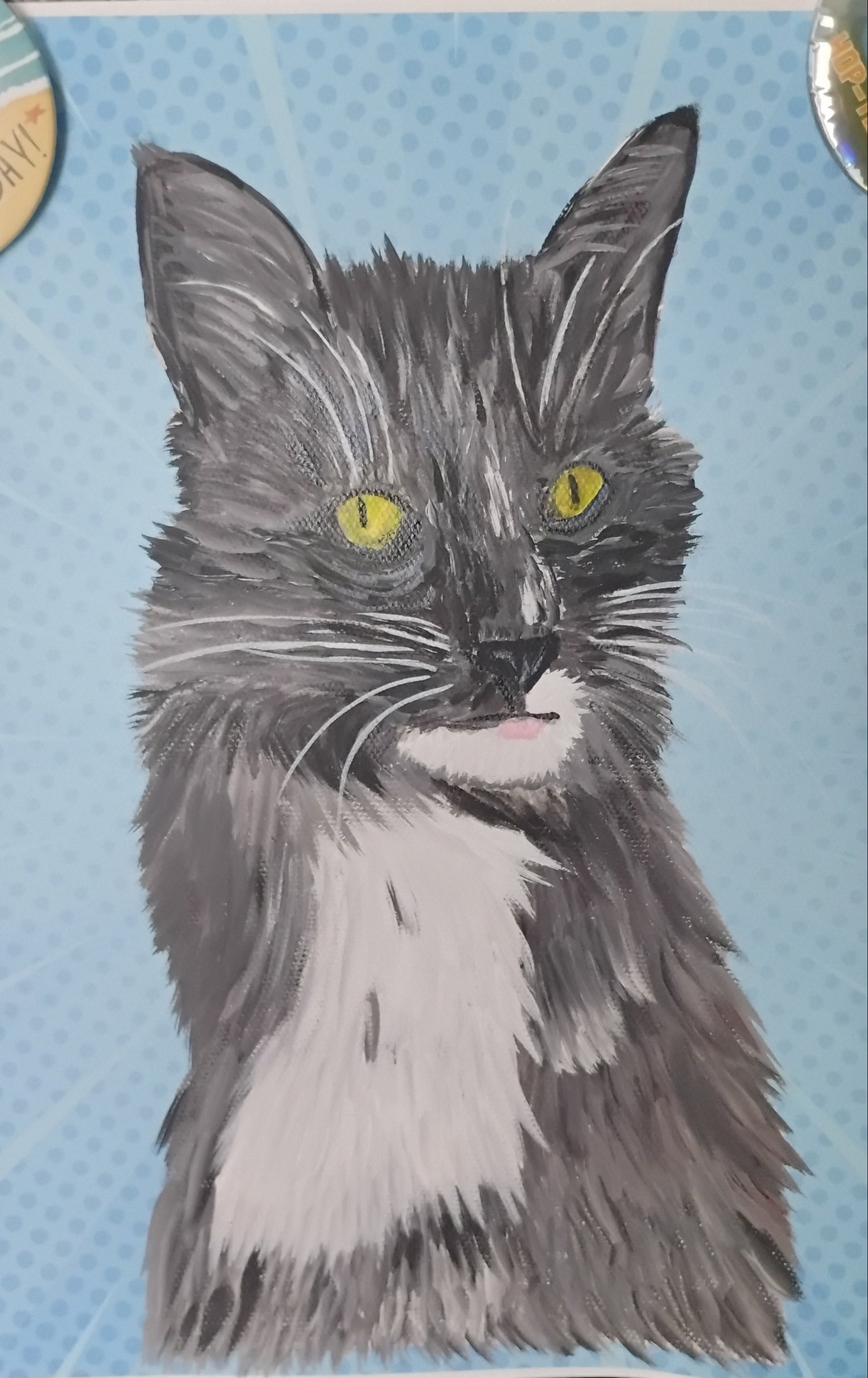 Cat illustration on a blue background